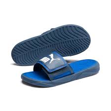 PUMA Slides